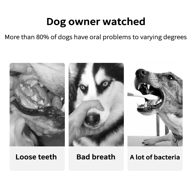 Đồ Chơi Nhai Gặm Hình Khúc Xương Cho Thú Cưng