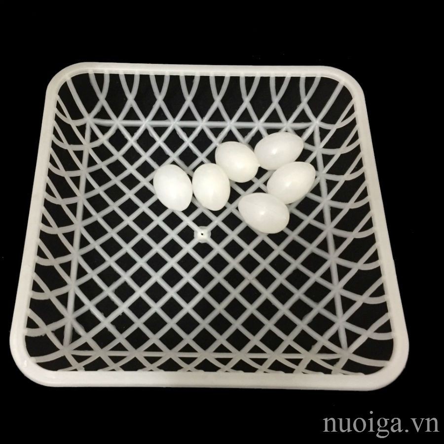 Rổ Đẻ Cho Chim Bồ Câu , Gà Tre Kích Thước 20x20Cm, Rổ Ấp Trứng Cho Chim Bằng Nhựa Siêu Bền