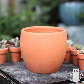 Chậu đất nung Bầu | Chậu trồng cây, sen đá, xương rồng