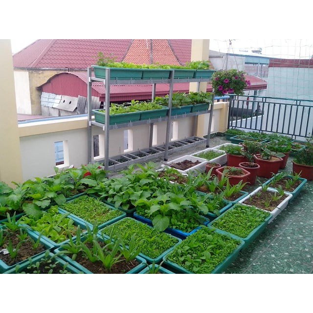 Bao 2dm3 đất trộn trồng cây - có bổ sung dinh dưỡng - Trang Flower