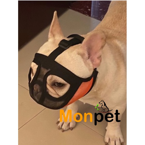 Rọ Mõm Vải Lưới Thoáng Khí Cho Chó Mõm Ngắn (Pug, Bull Anh, Bull Pháp)
