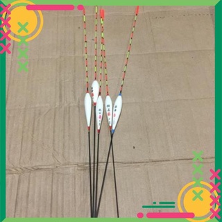 Combo 5 phao câu đài