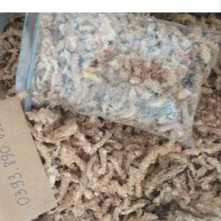 100g Rêu sâu Chile giữ ẩm cho lan.