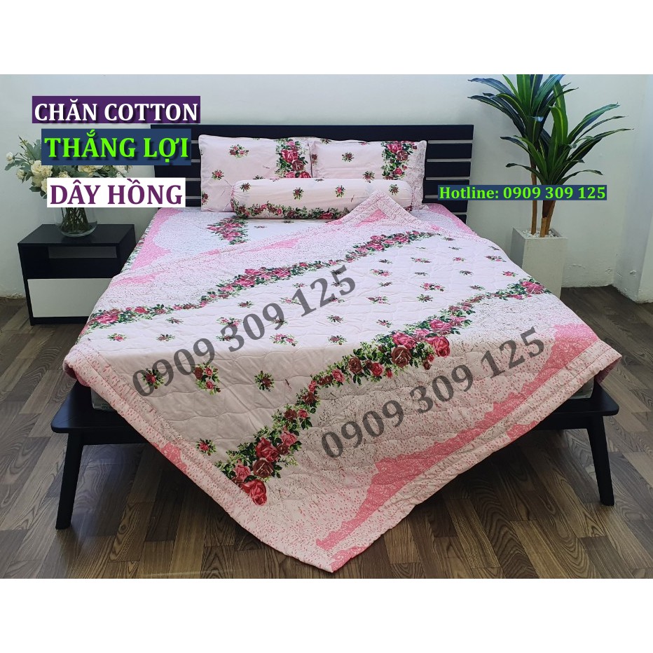 Drap Cotton 100% Thắng Lợi chính hãng IN LOGO THẮNG LỢI