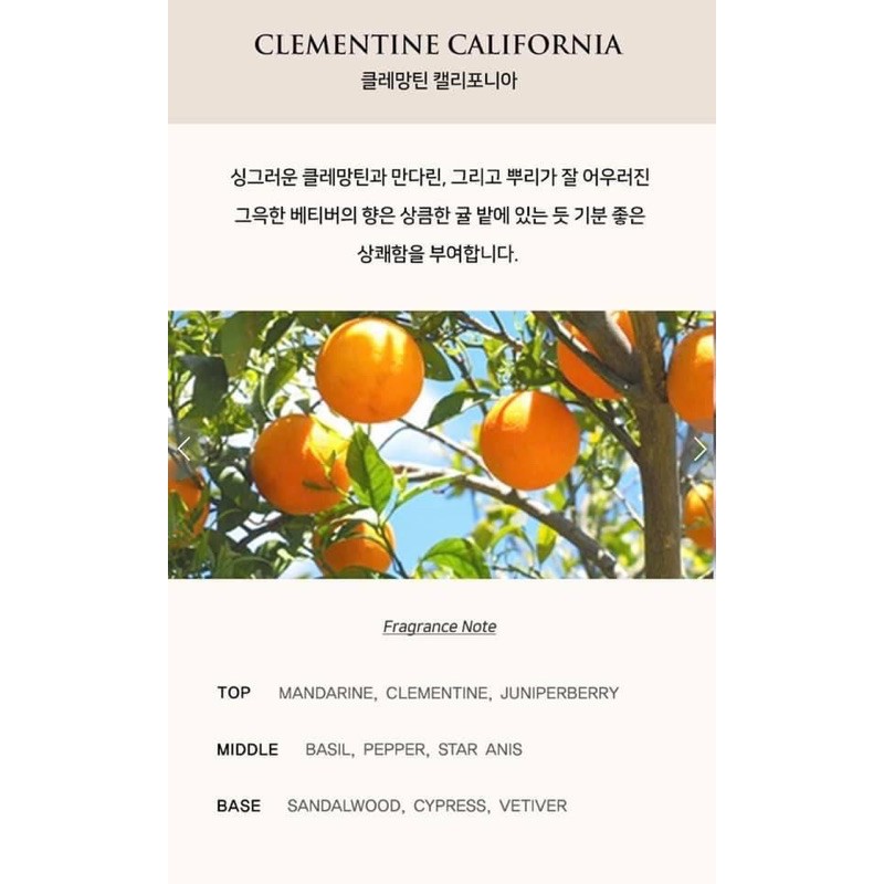 (Gom ord) Nước hoa LES NUANCES LAUNCHING | BigBuy360 - bigbuy360.vn