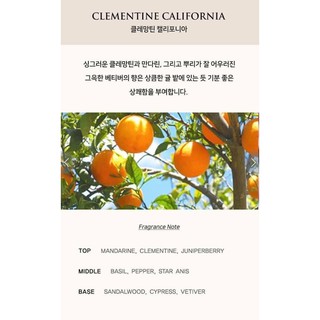 (Gom ord) Nước hoa LES NUANCES LAUNCHING