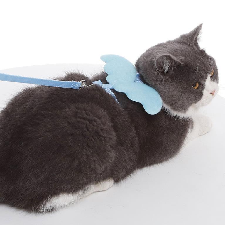 Bộ Dây dắt chó mèo đôi cánh thiên thần xích mèo phù hợp cho chó mèo từ 1-8kg