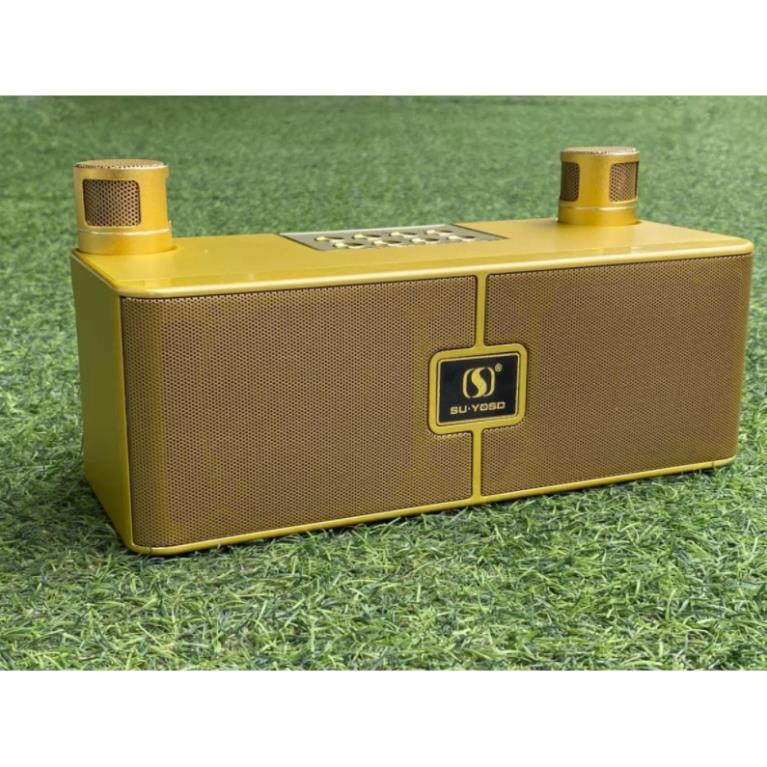 0357628205 Loa Karaoke Bluetooth YS-204 Kèm Hai Micro Không Dây Cao Cấp 0357628205