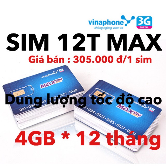 Sim vinaphone MAX SV 12  tháng