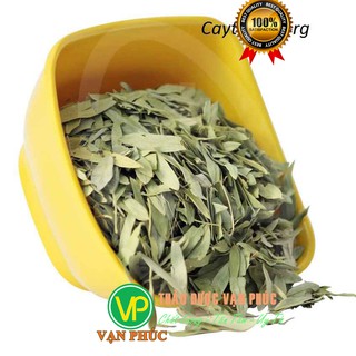 Phan tả diệp khô 1kg - Thảo Dược Vạn Phúc