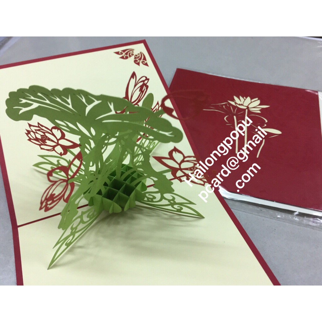 Hoa Sen ( VN )- Lotus - Flower  - Thiệp 3D | BigBuy360 - bigbuy360.vn