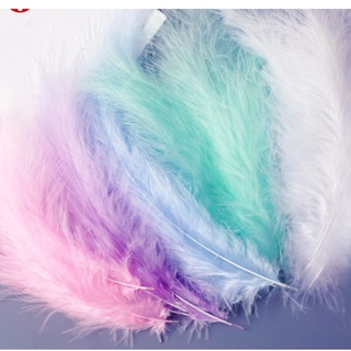 Lông vũ tự nhiên chụp ảnh mềm mại như tơ nhiều màu xinh xắn - House Decor