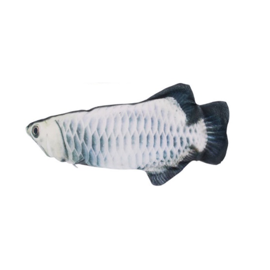 Cá nhảy sạc điện