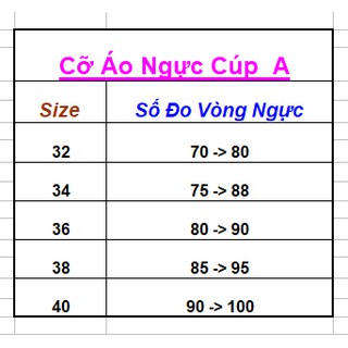 Áo Ngực Mút Dầy Ren Siêu Đẩy