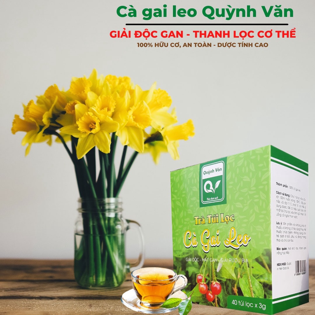 Trà cà gai leo, trà túi lọc cà gai leo Quỳnh Văn giúp giải độc - mát gan cho cả gia đình | BigBuy360 - bigbuy360.vn