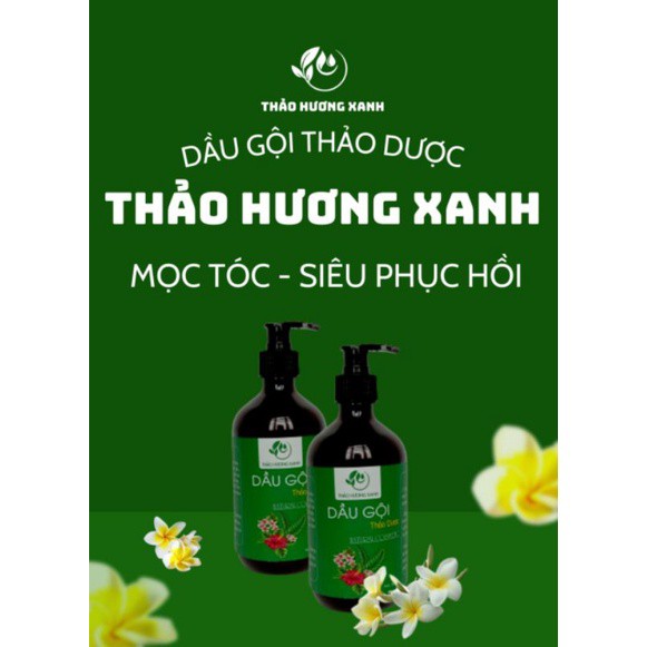 Dầu gội Thảo Dược Thảo Hương Xanh