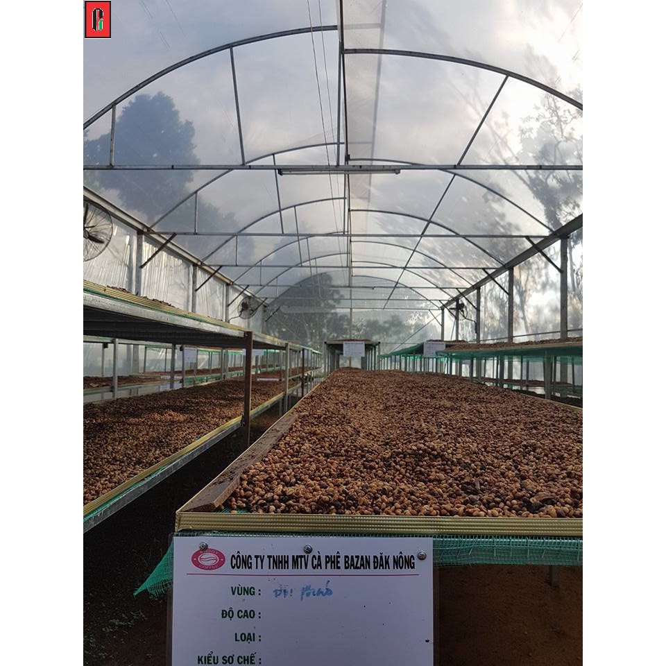 Cà phê nguyên chất rang mộc robusta honey enjoy coffee 500g - sạch từ nông trại | BigBuy360 - bigbuy360.vn