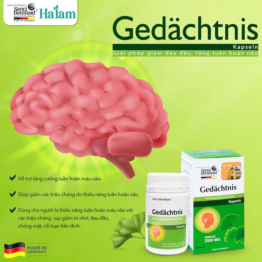 Viên uống Bổ não Gedachtnis Kapseln giúp tăng cường tuần hoàn máu hộp 60 viên - Sanct Bernhard Đứ