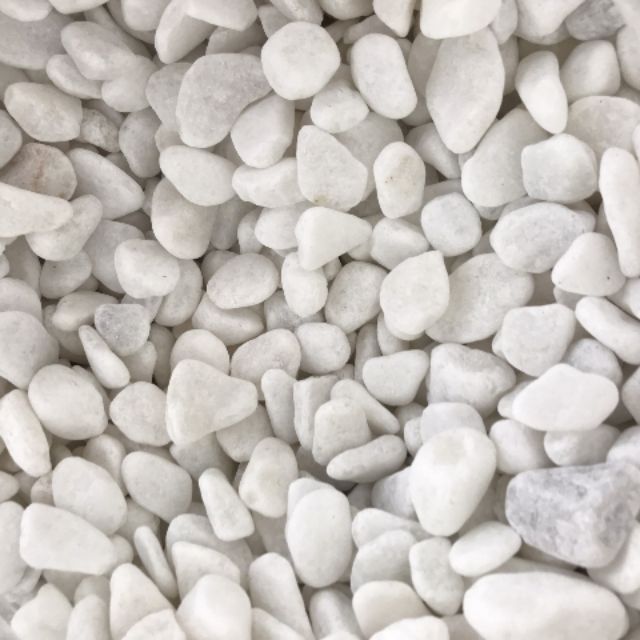 Đá Sỏi Trang Trí Bể Cá