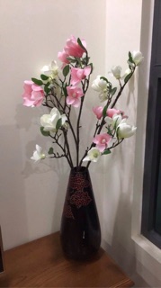 Mộc lan cành cao 80cm