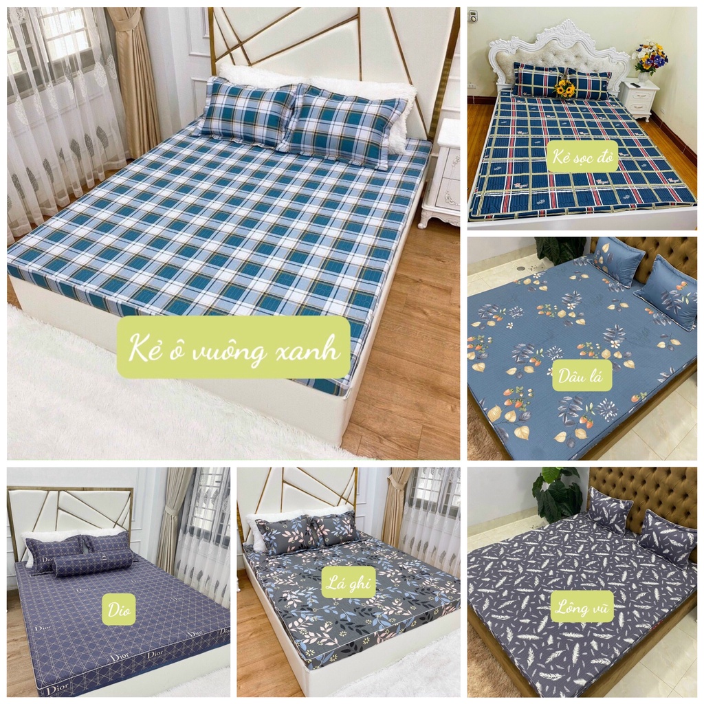 Bộ 3 món ga trơn cotton Hàn Quốc, kích thước 1m2/1m6/1m8/2m2 - Lá Ngọc