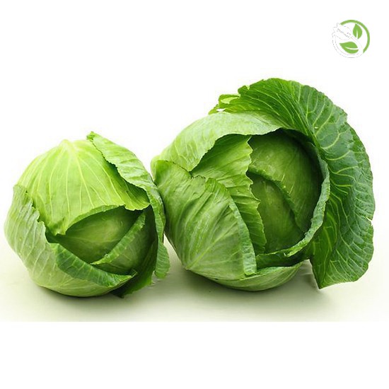 Hạt Giống Bắp Cải Lai F1 PN-242 Phú Nông - Gói 0.3g - Cabbage