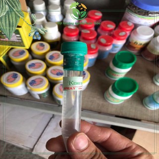 Kích mầm hoa lan - Keiki Duy Spray
