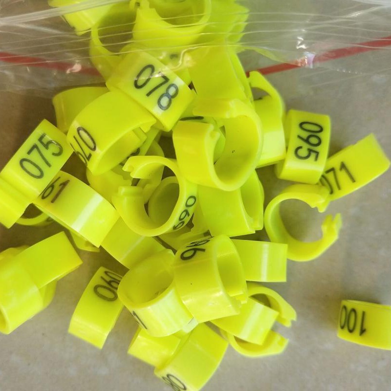 Set 50 Vòng Kẹp Số.001-050 8mm Hình Chim