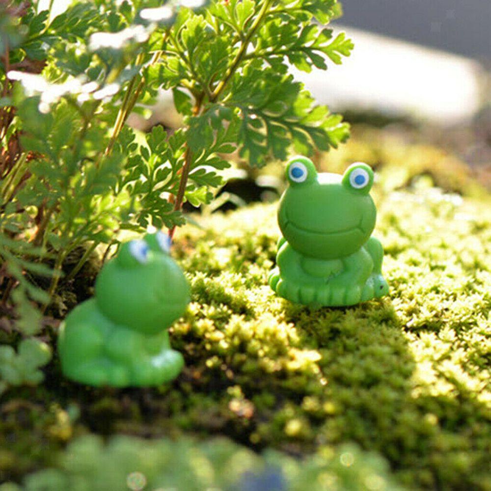 Hộp 20 Tượng Ếch Mini Trang Trí Cây Bonsai