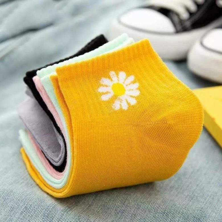 TẤT GẤU NỮ CỔ NGẮN ĐỦ MÀU ( túi 10 đôi ) TIỆN DỤNG HÀNG MỚI