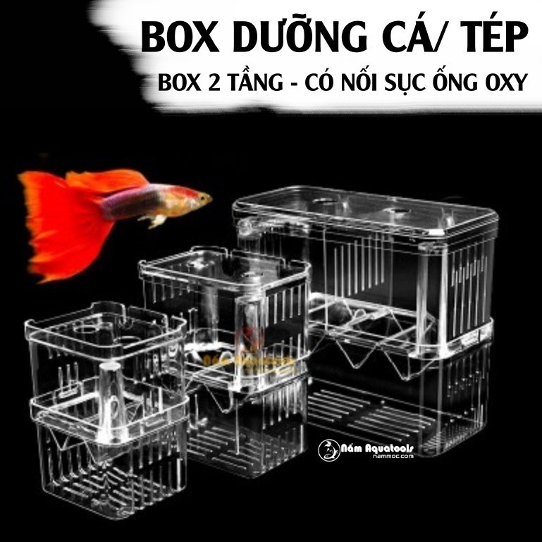 Box Cá/ Tép Acrylic | Lồng Dưỡng, Cách Ly Cá Tép cảnh