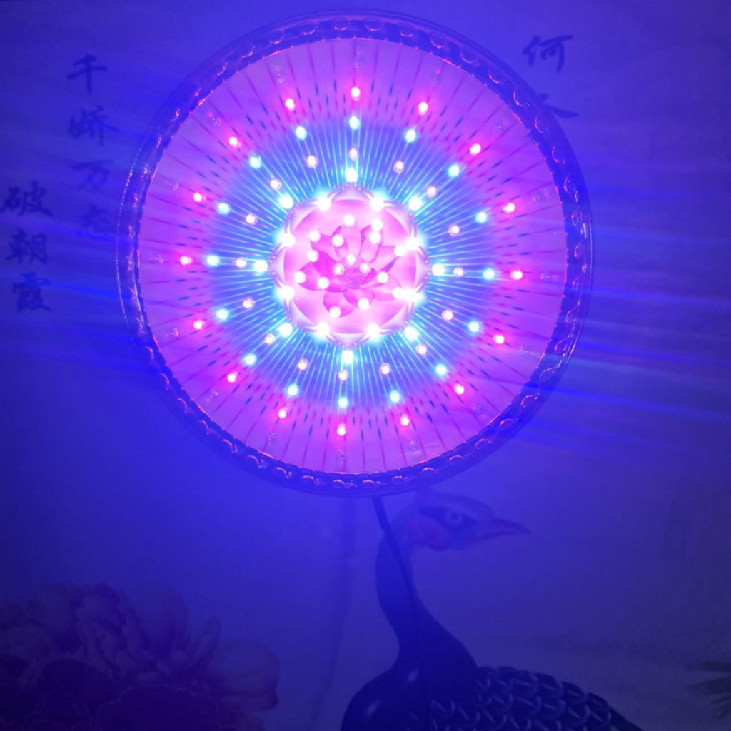 Đèn thờ hào quang 8 chương trình hoa sen