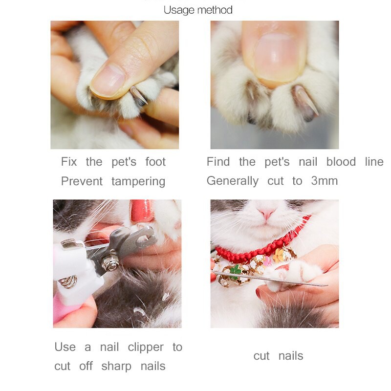 Kềm Bấm Cắt Móng Cho Chó Mèo Kèm Dũa Grooming - iPet Shop