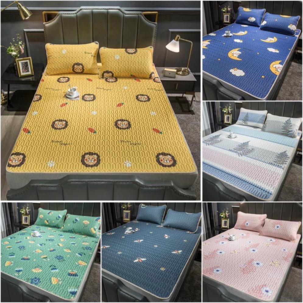 Chiếu điều hòa tencel nhập khẩu cao cấp - mát lạnh tặng kèm 2 vỏ gối_Chiếu điều hòa 2D cao cấp loại 1
