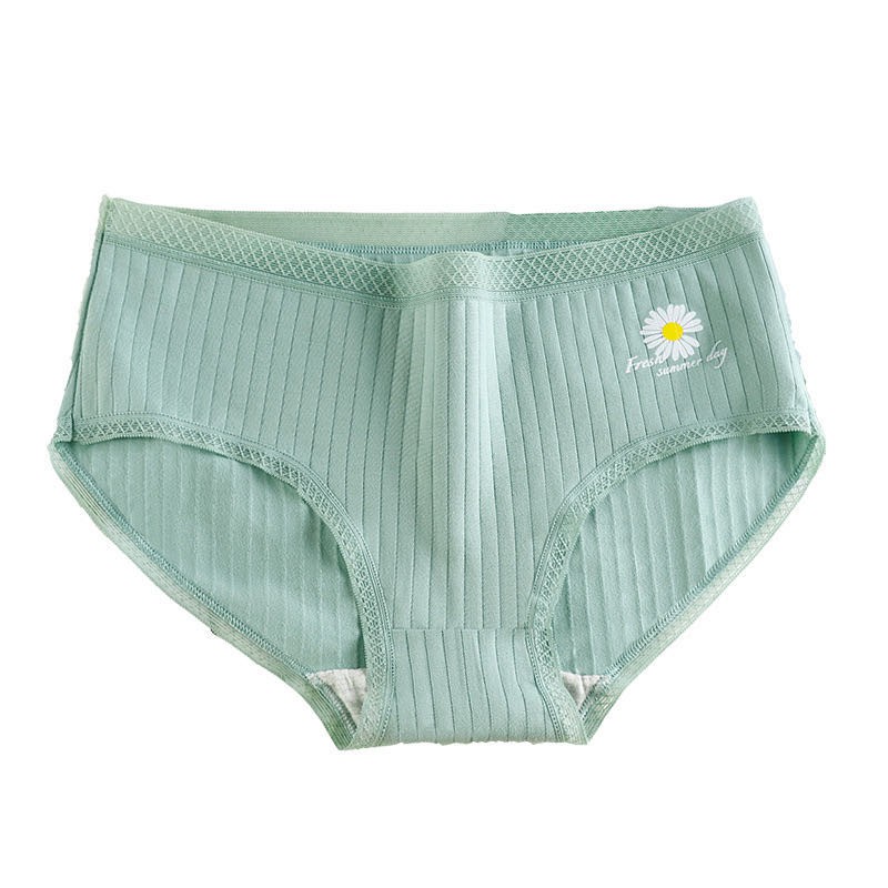 Quần Lót Cotton In Hình Hoa Cúc Xinh Xắn Cho Nữ | BigBuy360 - bigbuy360.vn