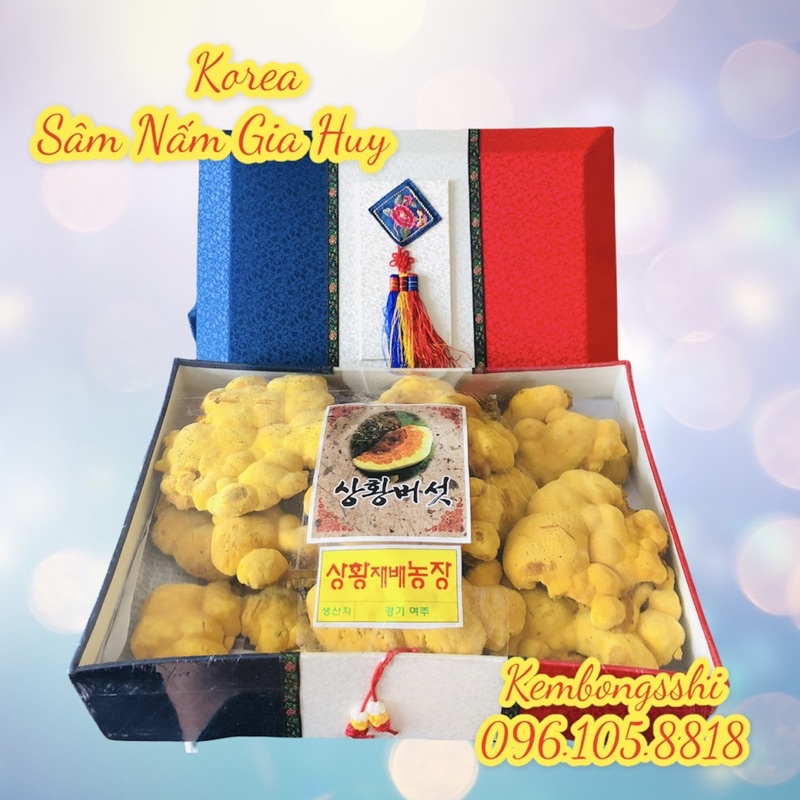 [HÀNG MỚI VỀ] Nấm Thượng Hoàng Hộp Cờ Hàn Quốc, Hộp 500gr