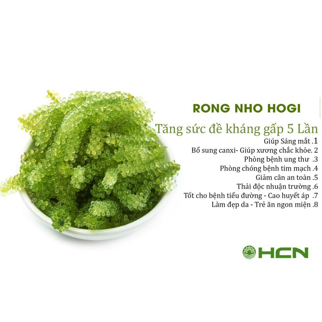 [TẶNG NƯỚC SỐT MÈ RANG] Rong Nho HOGI Tươi Tách Nước Cao Cấp Theo Công Nghệ Nhật Bản Hộp 120 Gram 6 gói | BigBuy360 - bigbuy360.vn