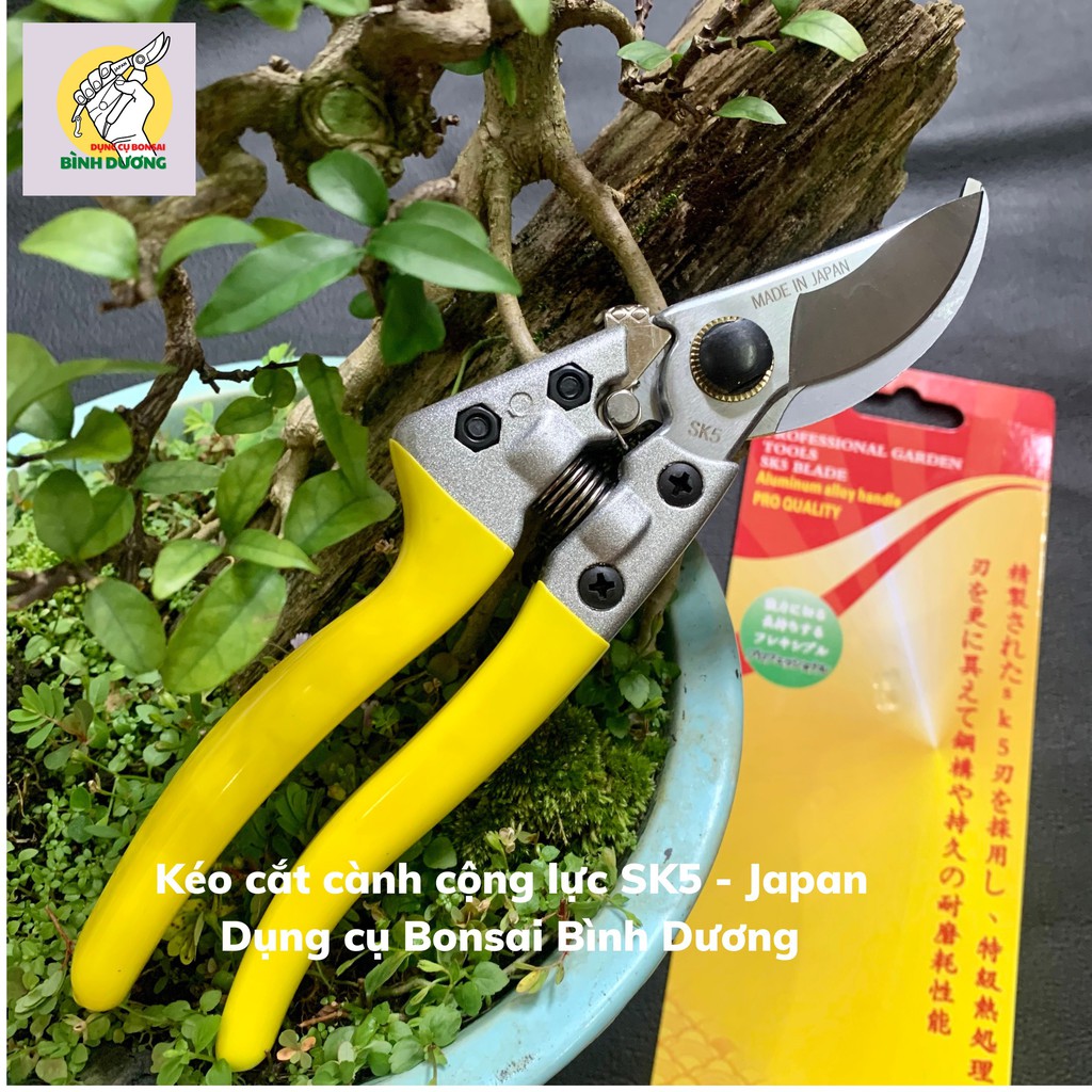 COMBO 2 KÉO CẮT TỈA JAPAN - SK5 [CHÍNH HÃNG] CẮT TỈA CÂY CẢNH BONSAI