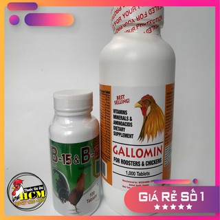 Combo gallomin + b15&b12 bộ thuốc nuôi gà chế độ đá hỗ trợ tuần cuối hiệu quả