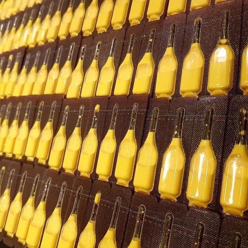 Nghệ Nano Curcumin Gold Hàn Quốc | Thế Giới Skin Care