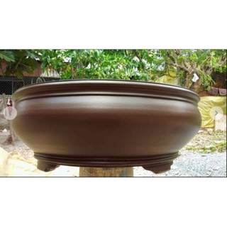 Sơn chậu cây cảnh-800g