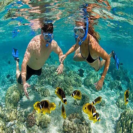 [E-Voucher Vietravel] Thái Lan: Pattaya - Bangkok (Vườn lan Nong Nooch, tặng Show Colosseum và Buffet tại BaiYoke Sky)