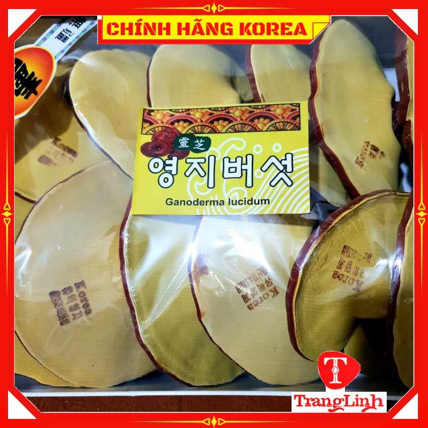 Nấm linh chi hàn quốc thượng hạng - Nấm hộp trắng Vip 1kg giúp thải độc gan, thanh lọc cơ thể - tranglinhkorea