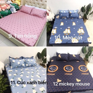 Bộ ga - gối cotton poly