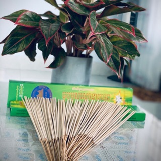 Combo 20 hộp Nhang muỗi thái dạng cây sinh học