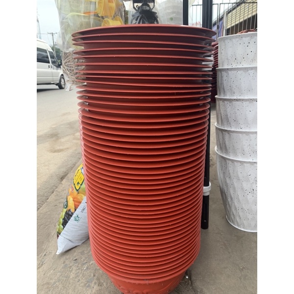 Chậu truyền thống PHÚC LỘC THỌ GIÁ SIÊU RẺ đường kính 36cm, cao 18cm
