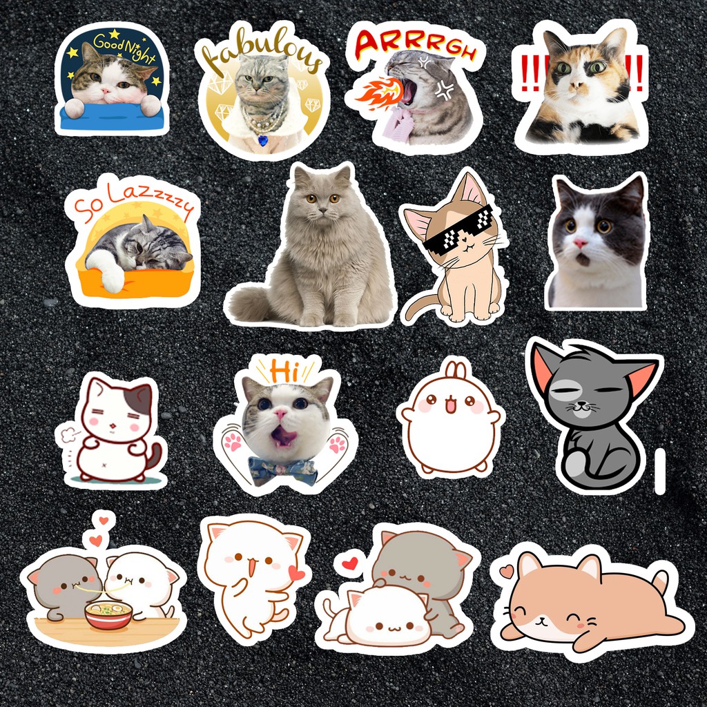 Sticker Mèo cute dán mũ bảo hiểm, dán laptop, điện thoại, đàn guitar, vali, xe máy, ván trượt