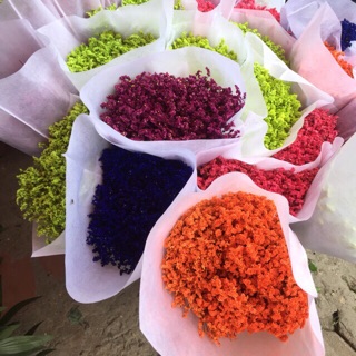 com bo 5 bó hoa sao nhuộm