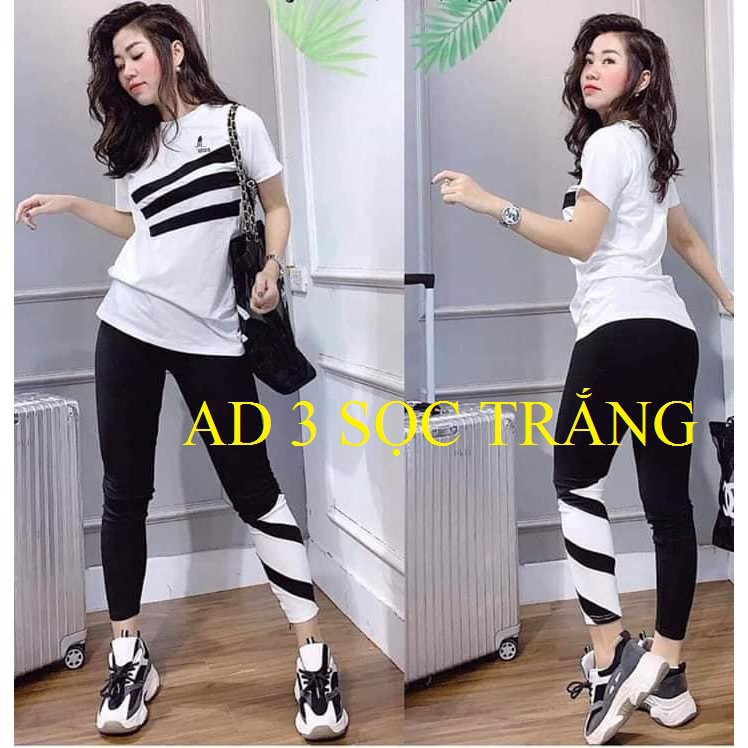 Đồ Bộ Thể Thao Cao Cấp Thun Cotton 100% AD 3 sọc