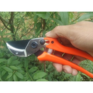 kéo cắt tỉa cành cây  LH-802